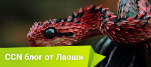 Если нужен экзотический подарок, купите в Китае «змеиное вино»